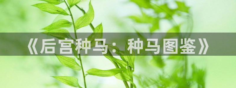 51漫画女神漫画免费观看全部：《后宫种马：种马图鉴》