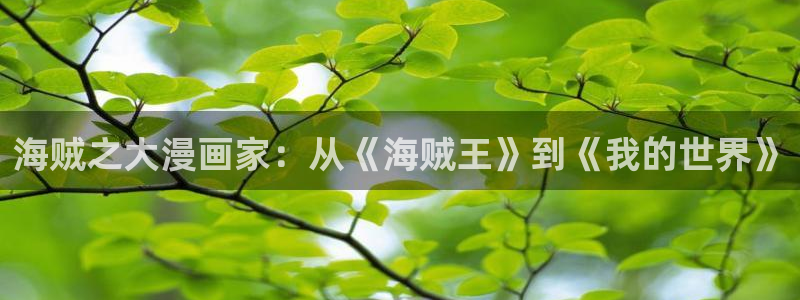 漫画51漫画app下载：海贼之大漫画家：从《海贼王》到《我的世界》
