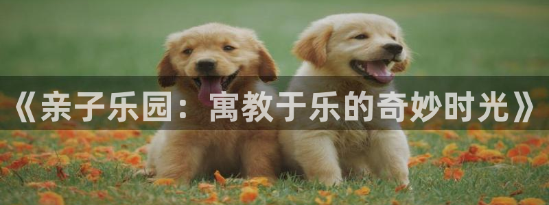 专门看51漫画画的软件：《亲子乐园：寓教于乐的奇妙时光》