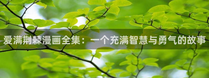 51漫画免费看完整版：爱满荆棘漫画全集：一个充满智慧与勇气的故事