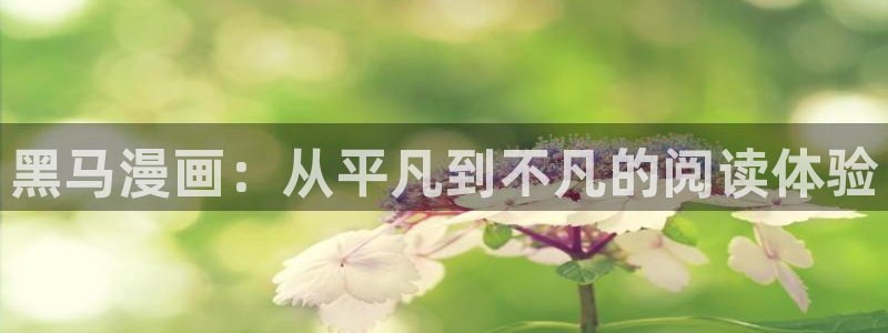 成人51漫画免费漫画在线观看方法：黑马漫画：从平凡到不凡的阅读体验