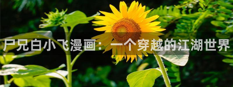 有什么网站可以免费看51漫画：尸兄白小飞漫画：一个穿越的江湖世界